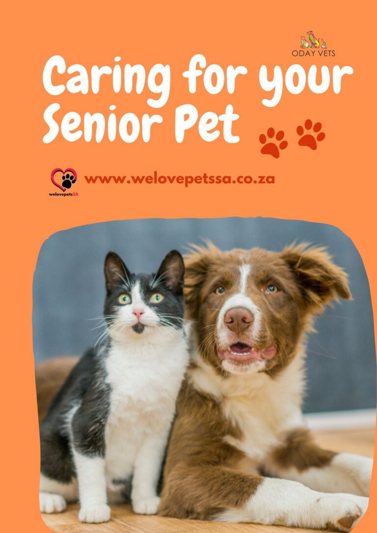 Caring for Senior Pets Magazine