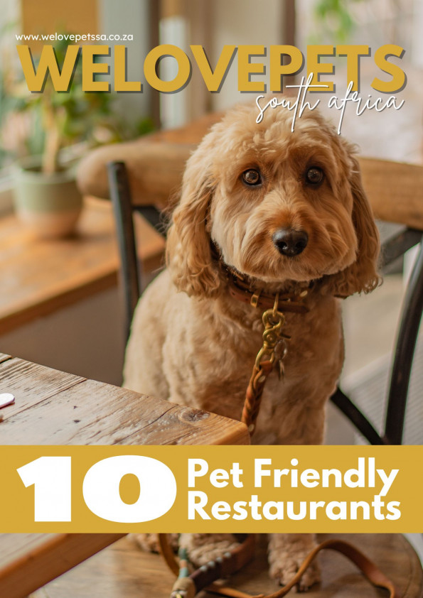 10 Pet Friendly Restaurants