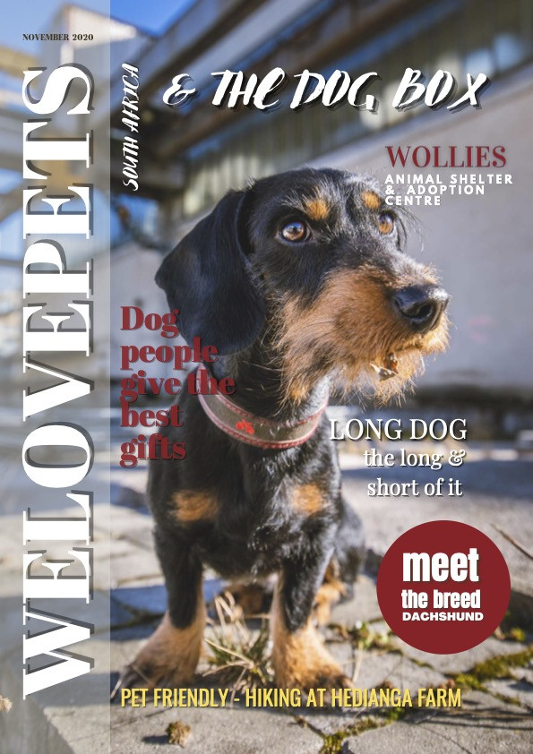 November 2020 We Love Pets SA Magazine