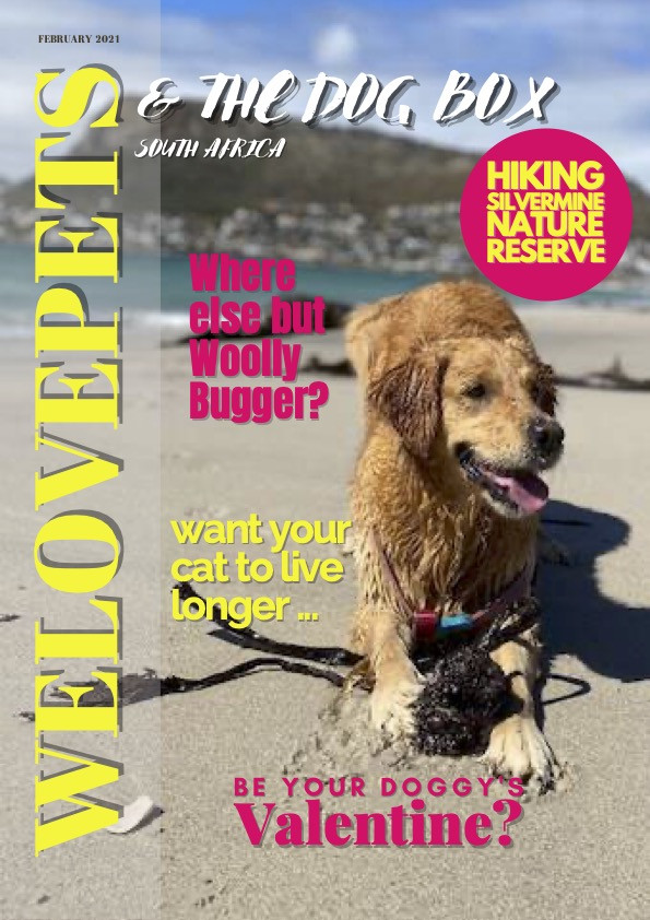 February 2021 We Love Pets SA Magazine