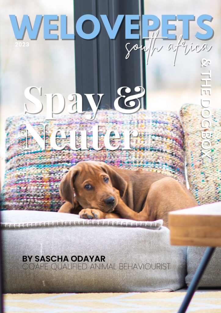 Spay and Neuter magazine