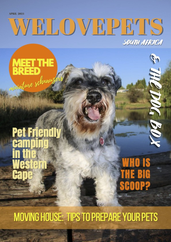 April 2021 We Love Pets SA Magazine