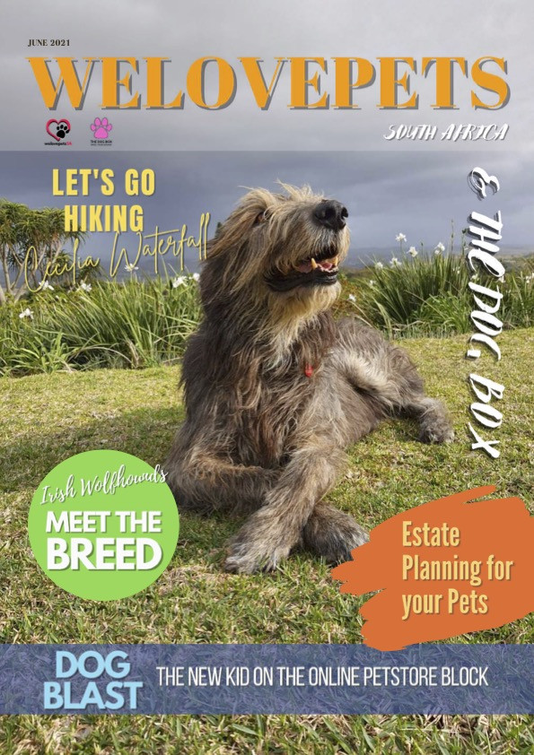 June 2021 We Love Pets SA Magazine