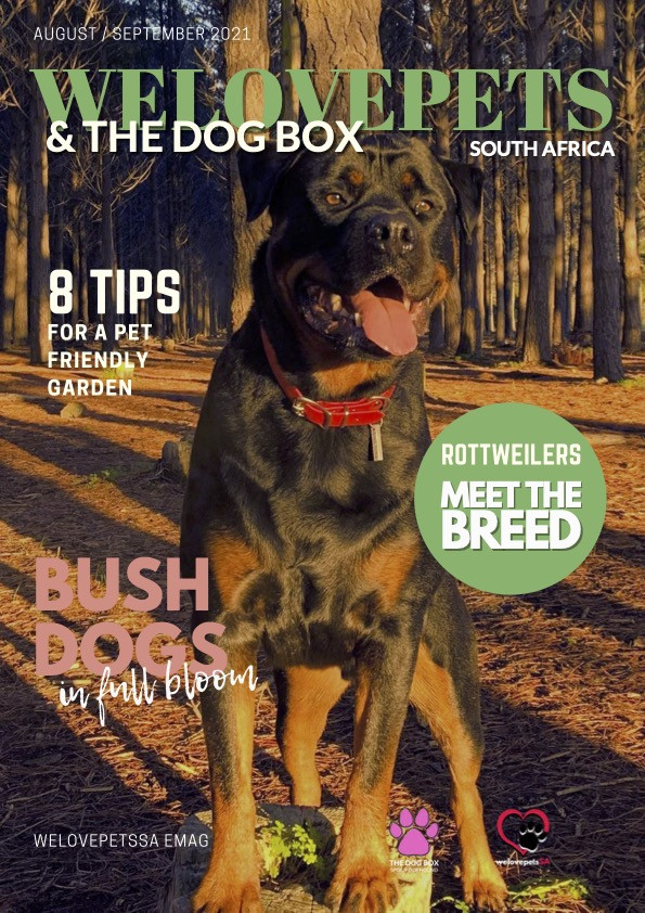 August 2021 We Love Pets SA Magazine