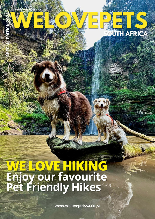 Pet Friendly Hiking 2024