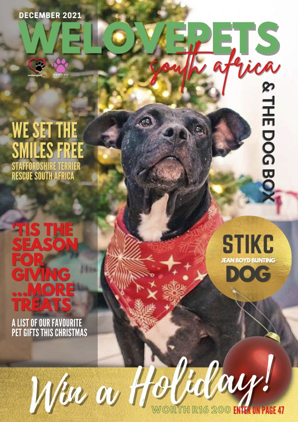 December 2021 We Love Pets SA Magazine
