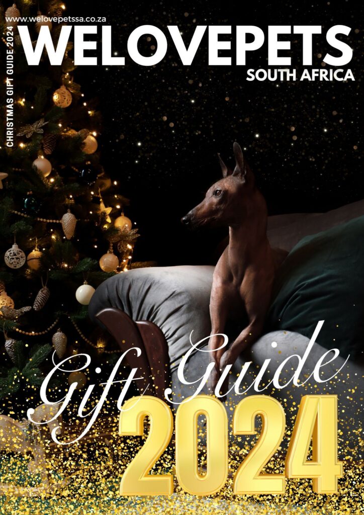 Christmas Gift Guide Pets 2024