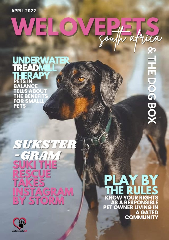 April 2022 We Love Pets SA Magazine