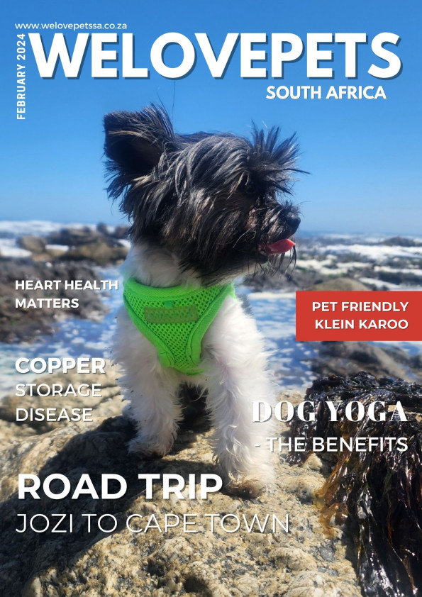 February 2024 We Love Pets SA Magazine