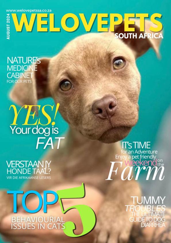 August 2024 We Love Pets SA Magazine