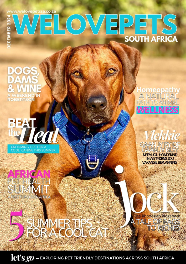 December 2024 We Love Pets SA Magazine