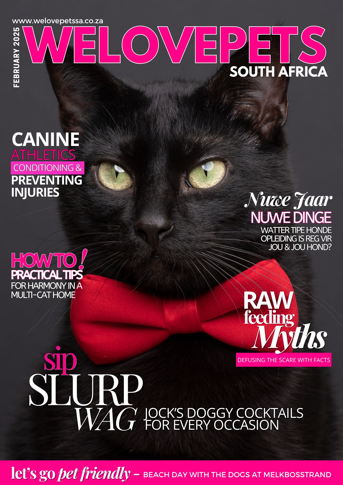 February 2025 We Love Pets SA Magazine
