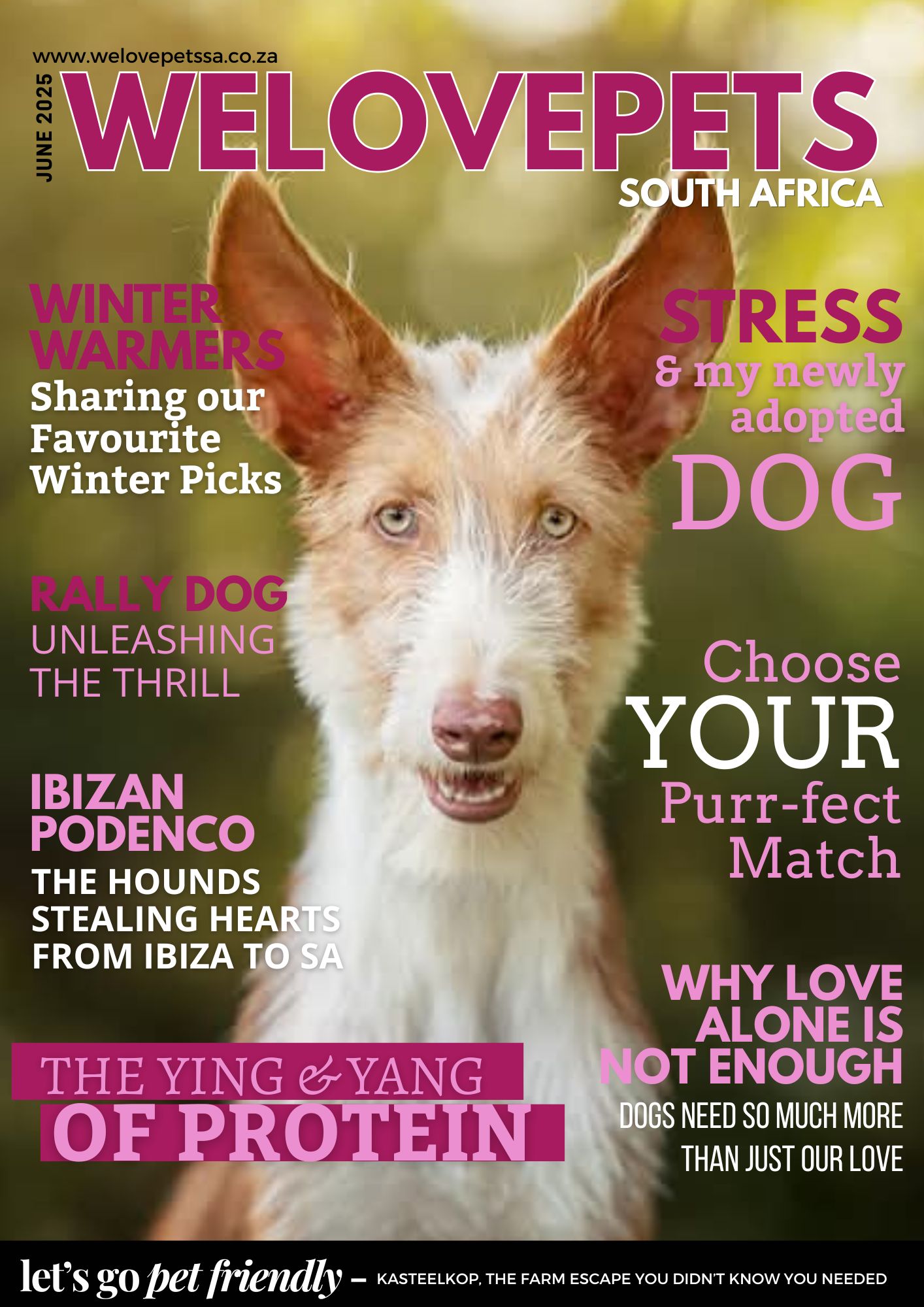 June 2025 We Love Pets SA Magazine