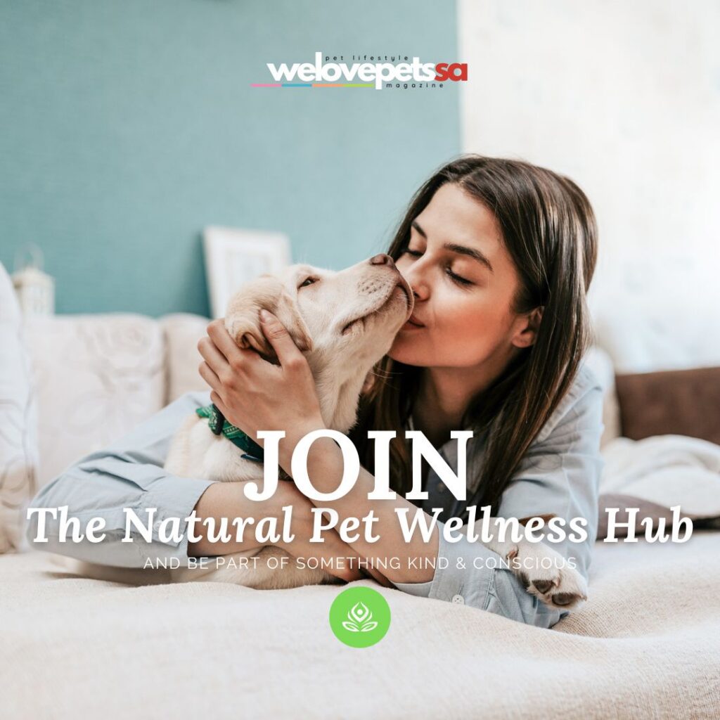 The Natural Pet Wellness Hub We Love Pets SA