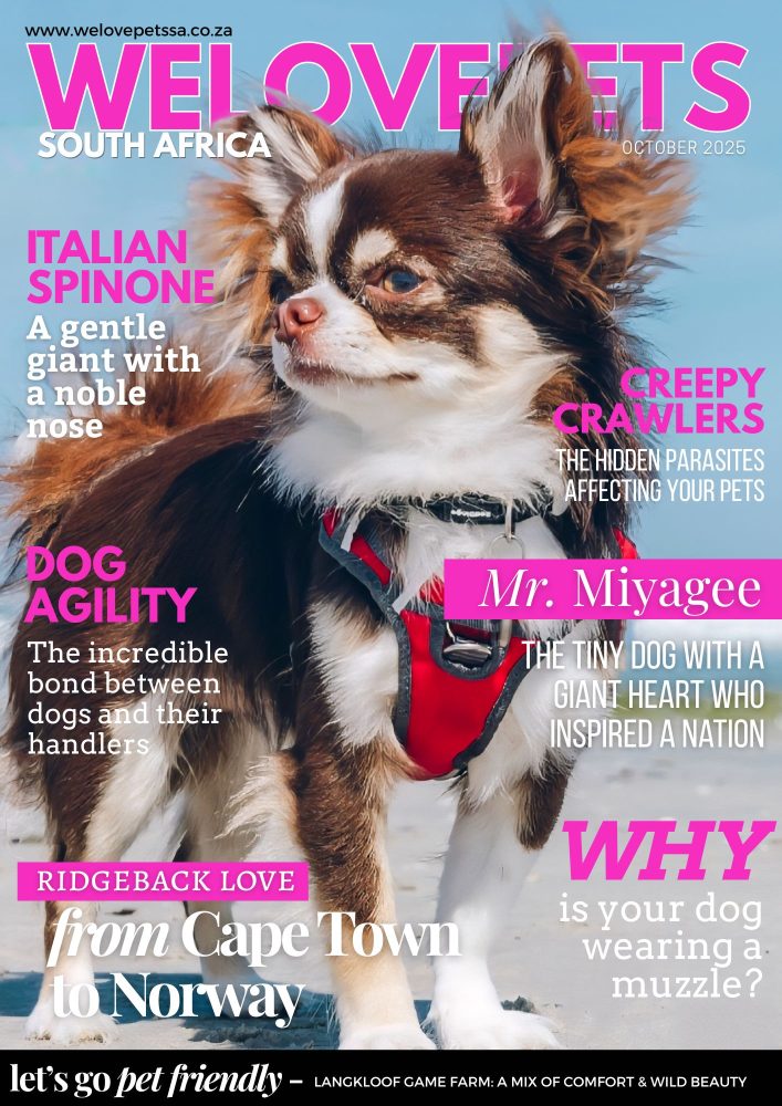 October 2025 magazine cover